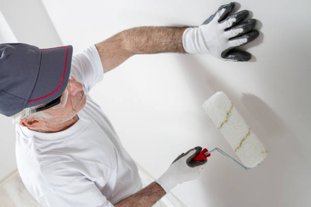 Professional Painting in Palm Springs North, FL